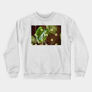 Monstera Deliciosa Crewneck Sweatshirt